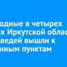 За выходные в четырех районах Иркутской области 13 медведей вышли к населенным пунктам