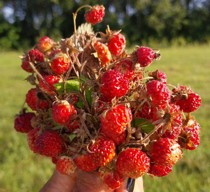 В воскресенье в Башкирии будет жарко до +28° В воскресенье в Башкирии будет жарко до +28°