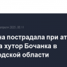 Женщина пострадала при атаке БПЛА на хутор Бочанка в Белгородской области