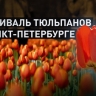 XIII Фестиваль тюльпанов открылся на Елагином острове в Санкт-Петербурге