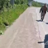 Выживший во время нападения медведя сахалинец обращался за медпомощью
