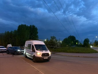 Лоси покинули жилые кварталы Фрунзенского района, направляясь в сторону Ленобласти