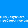 Собакам из иркутского приюта требуется помощь