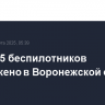 Более 15 беспилотников уничтожено в Воронежской области