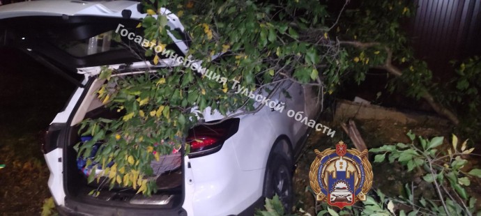 В Туле легковушка сбила 17-летнюю девушку на тротуаре В Туле легковушка сбила 17-летнюю девушку на тротуаре