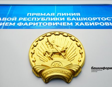 В Башкирии началась Прямая линия с Радием Хабировым