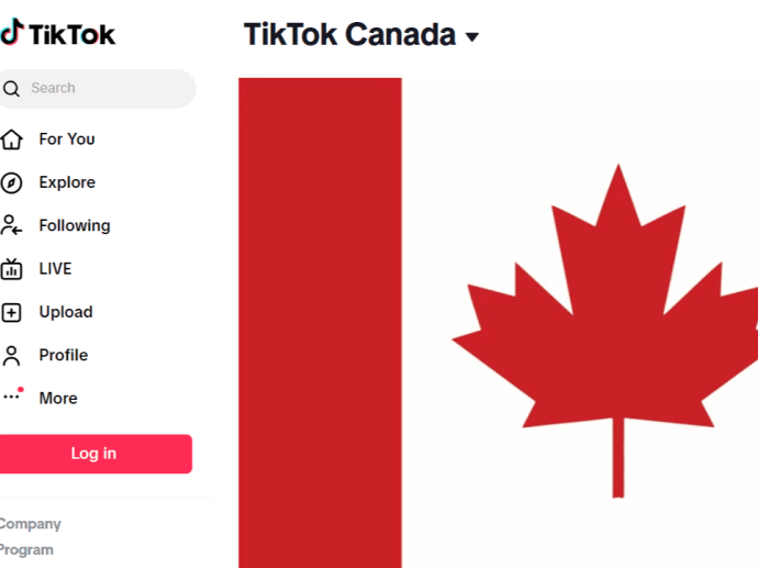 Власти Канады обвинили TikTok в сборе конфиденциальных данных детей Власти Канады обвинили TikTok в сборе конфиденциальных данных детей