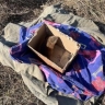 В Благовещенске в подвале дома застряла ондатра