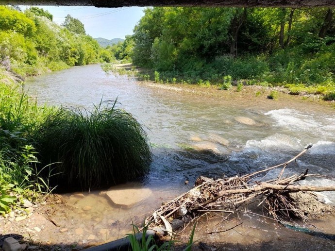 Губернатор пообещал расчистить реку Седанка во Владивостоке