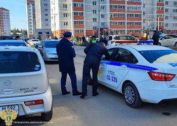 В Приамурье прокуратура начала проверку по факту ДТП, в котором погибла девочка
