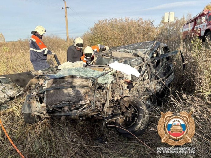 В Башкирии в страшном ДТП с грузовиком погиб водитель Chery Tiggo В Башкирии в страшном ДТП с грузовиком погиб водитель Chery Tiggo