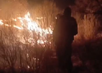 Палы в Благовещенском округе Приамурья тушили больше ста человек