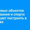 Пять новых объектов образования и спорта планируют построить в Иркутске