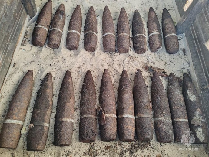 19 взрывоопасных предметов обнаружили в лесу под Белгородом 19 взрывоопасных предметов обнаружили в лесу под Белгородом