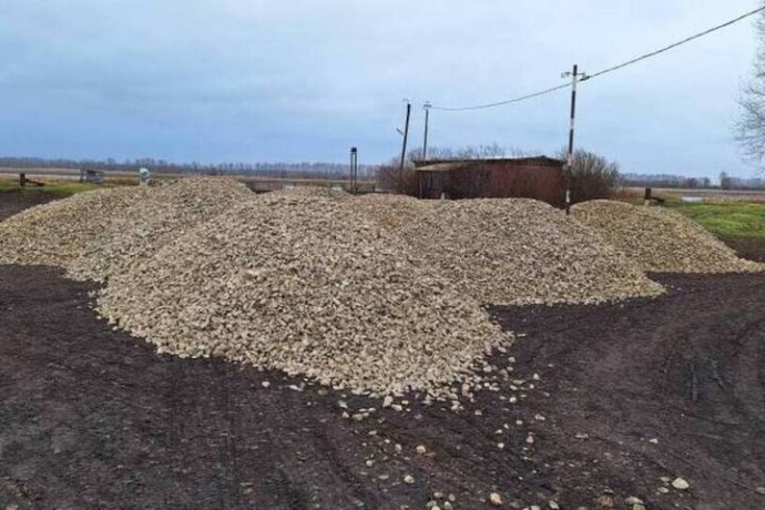 Первомайский «Клондайк»: как строитель похитил почти 400 тонн щебня в Тамбовской области Первомайский «Клондайк»: как строитель похитил почти 400 тонн щебня в Тамбовской области