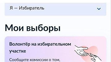 На Госуслугах для избирателей появился новый сервис "Волонтеры на участке"