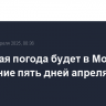 Холодная погода будет в Москве в последние пять дней апреля
