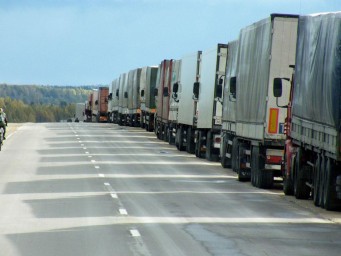 Живой товар в ловушке: бизнес несёт убытки на границе между Великобританией и Евросоюзом