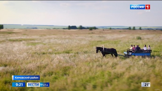 Автобусы из Тулы прямо на Куликово поле запустят к 650-летию битвы