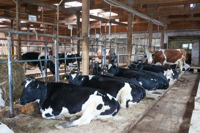 В СФ призвали поддержать аграриев, временно приостановивших работу В СФ призвали поддержать аграриев, временно приостановивших работу