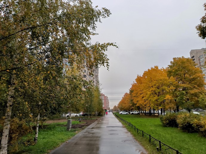 Синоптик Леус: Температура в Москве вернется к климатической норме 17 октября