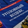 Уголовную ответственность установят за несообщение о диверсиях