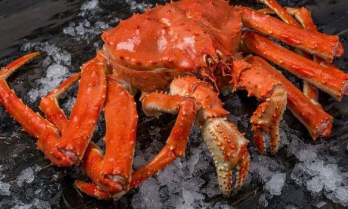 Камчатский краб покорил китайскую выставку в Шанхае Камчатский краб покорил китайскую выставку в Шанхае