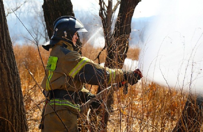 Лесной пожар полыхает в Приморье почти на 300 гектарах уже неделю Лесной пожар полыхает в Приморье почти на 300 гектарах уже неделю