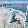 Купальный сезон в Турции под угрозой: морская слюна захватывает пляжи на знаменитых курортах