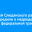 Жителей Слюдянского района предупредили о медведе вблизи федеральной трассы