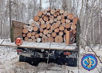 Жителя амурского Невера уличили в незаконной рубке деревьев Жителя амурского Невера уличили в незаконной рубке деревьев