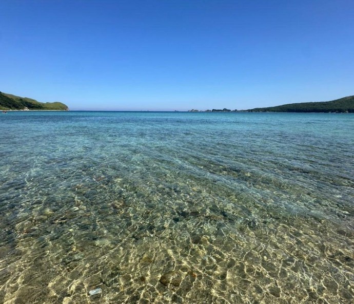 Экс-чиновницу Росреестра во Владивостоке судят за взятку при оформлении пирса Экс-чиновницу Росреестра во Владивостоке судят за взятку при оформлении пирса