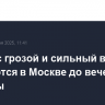 Дождь с грозой и сильный ветер ожидаются в Москве до вечера субботы