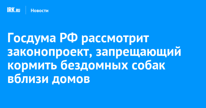 Госдума РФ рассмотрит законопроект, запрещающий кормить бездомных собак вблизи домов