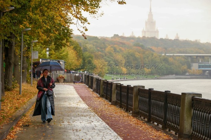 Позднякова: Около 55% месячной нормы осадков выпало в Москве с начала октября