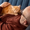 Людям за 60 лет стоит держаться подальше от кошек: ученые объяснили почему