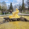 В ГМЗ «Петергоф» включили несколько фонтанов для петербуржцев