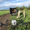 В Ярославской области с помощью дронов обрабатывают территории от борщевика