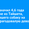 Суд назначил 4,6 года мужчине из Тайшета, спустившего собаку на полуторагодовалую девочку