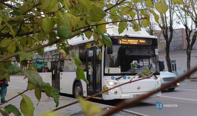 В Великом Новгороде появится своя карта «Тройка»