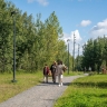 Выполнен первый этап благоустройства на «Крылатских холмах»