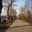 В Благовещенске введен режим повышенной готовности из-за сильного ветра