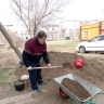 Дворы Астрахани украсят цветы: стартовала акция «Зелёный апрель»
