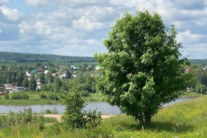 Август в Перми начнется с жары