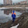 На реке Тосне продолжаются поиски мальчика, провалившегося под лёд