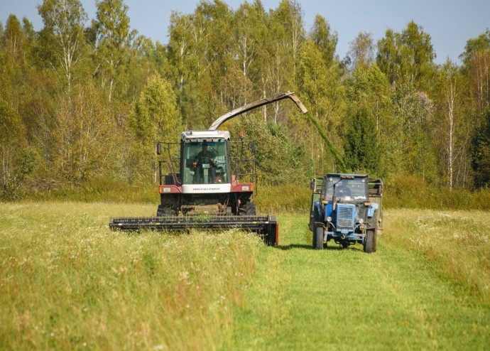 В Ярославской области увеличился валовой сбор зерновых