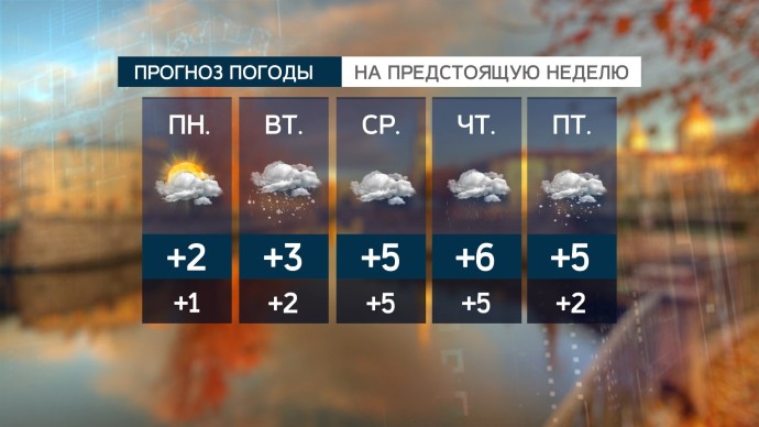 Синоптики обещают в Петербурге предзимье Синоптики обещают в Петербурге предзимье