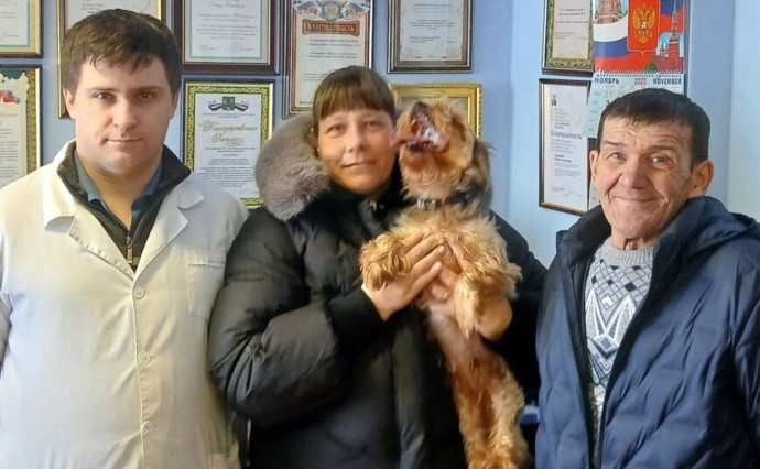 Регистрация домашних животных помогла "потеряшке" Баксу вернуться к хозяину