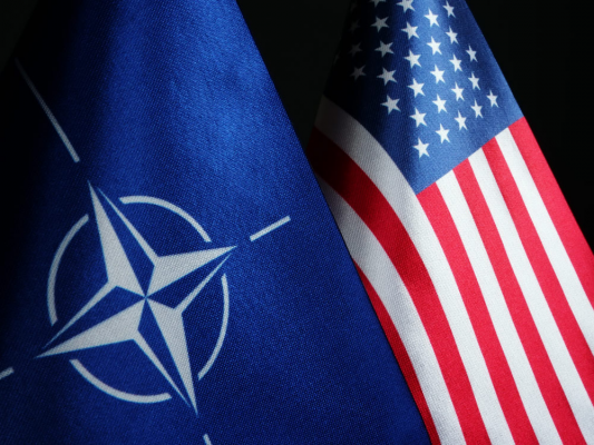 США нужно быстро выйти из НАТО, пока в Европе не началась исламская война — Ли
