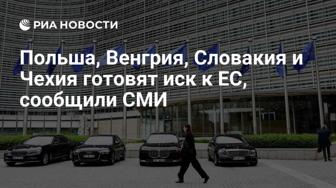 Польша, Венгрия, Словакия и Чехия готовят иск к ЕС, сообщили СМИ